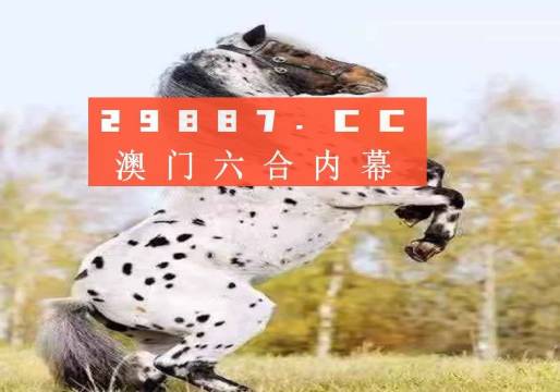 2017年云在指尖的最新动态与新闻概览