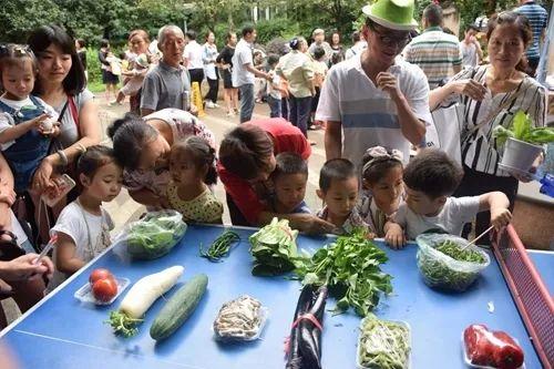 邛崃瑞云集团最新招聘启事