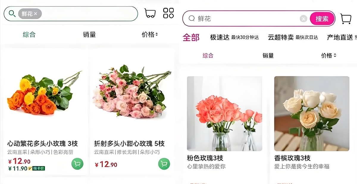 踏花行最新版app，探索与体验