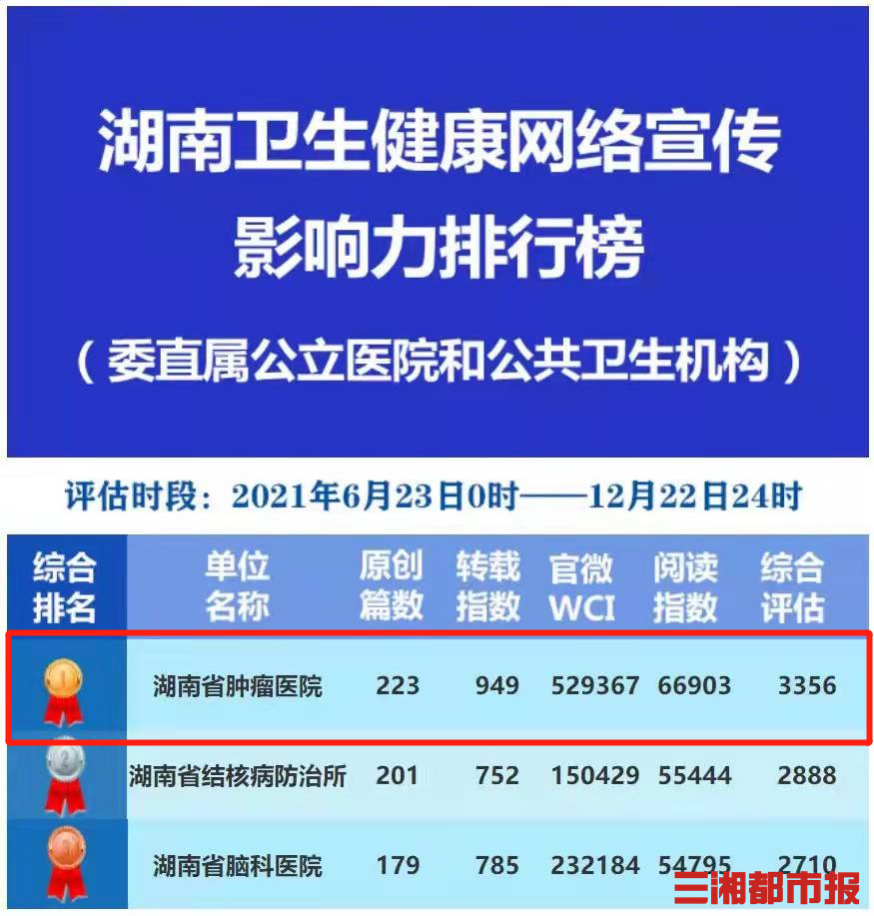 广东省标准化暂停，深度分析与影响探讨