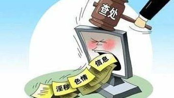 广东省扫黄行动成果显著，实现零容忍目标