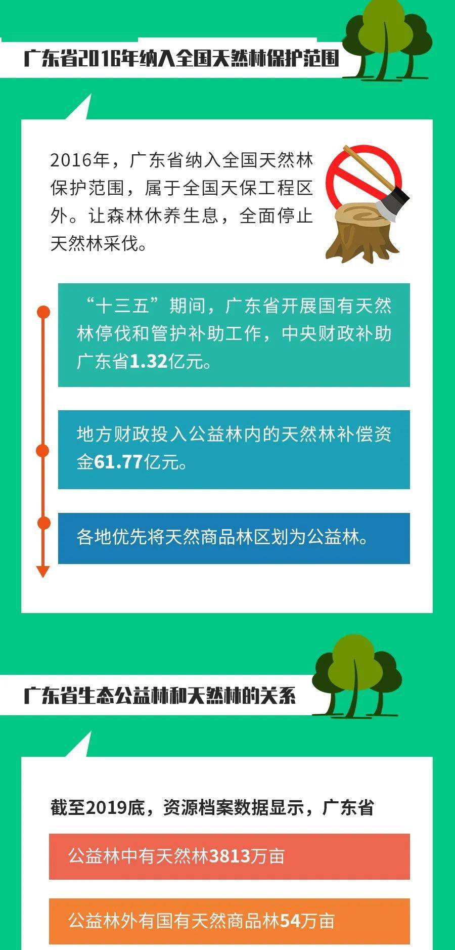 广东省检测所，质量保障的先锋力量