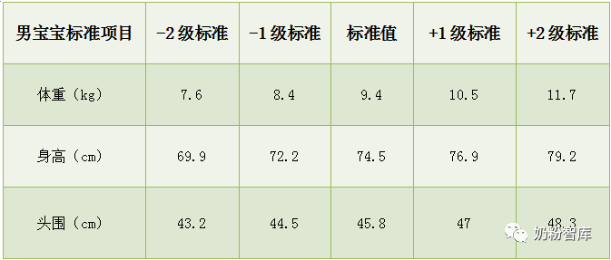 揭秘十个月宝宝的体重标准，健康成长的关键指标