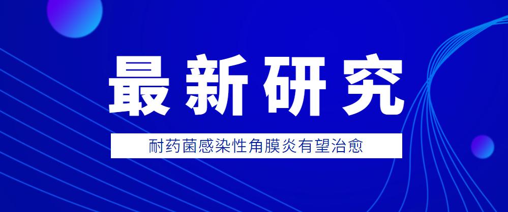 广东省气触媒检测，技术前沿与环保使命的交融