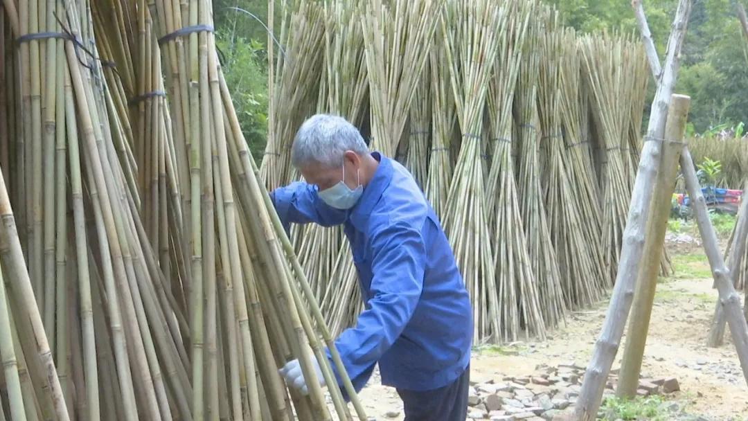 广东泰荣医药有限公司，引领健康之路的医药先锋