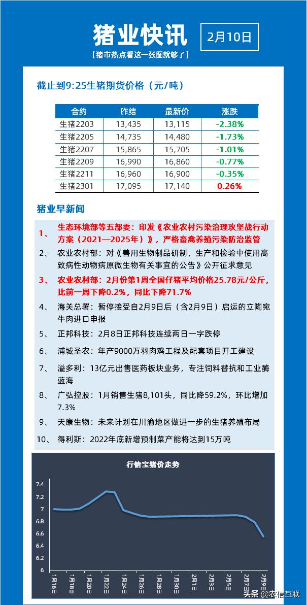 广东省今日猪价行情分析