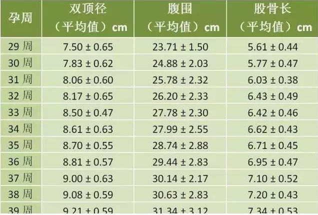 六个月胎儿双顶径标准解析