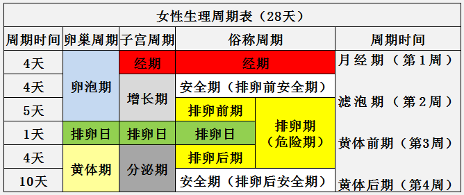 上个月28号来月经的身体变化与生理周期解析