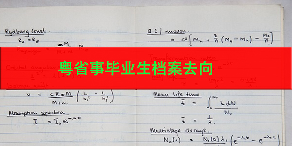 广东省高校毕业生档案管理研究