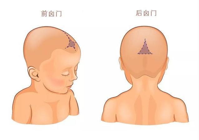 两个月宝宝前囟门闭合，早期发育的里程碑与注意事项