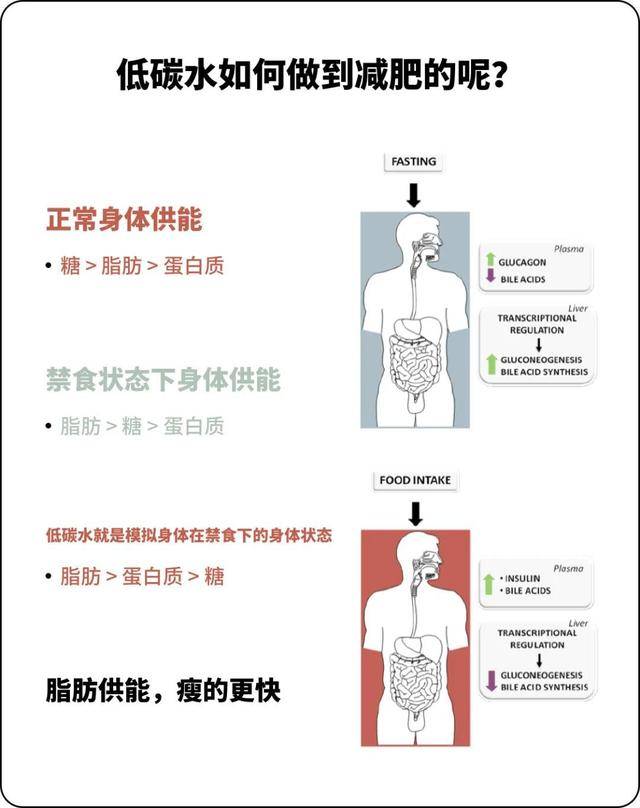 一个月瘦几斤，健康减重指南