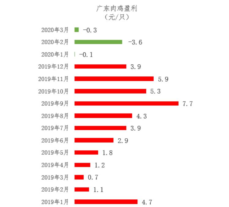 广东省鸡价最新行情分析