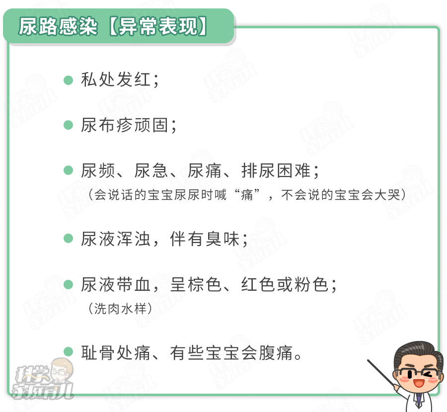 8个月宝宝尿路感染的识别与处理