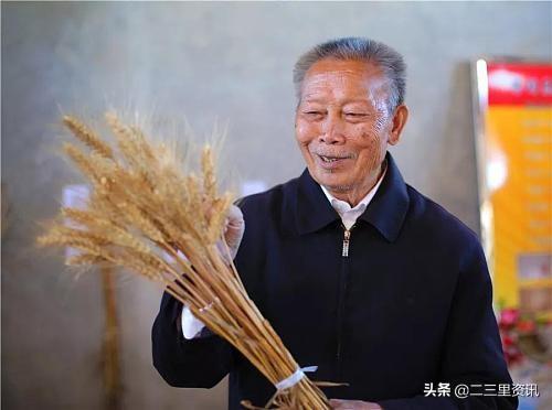 广东省高州市的大学，教育之光与未来展望