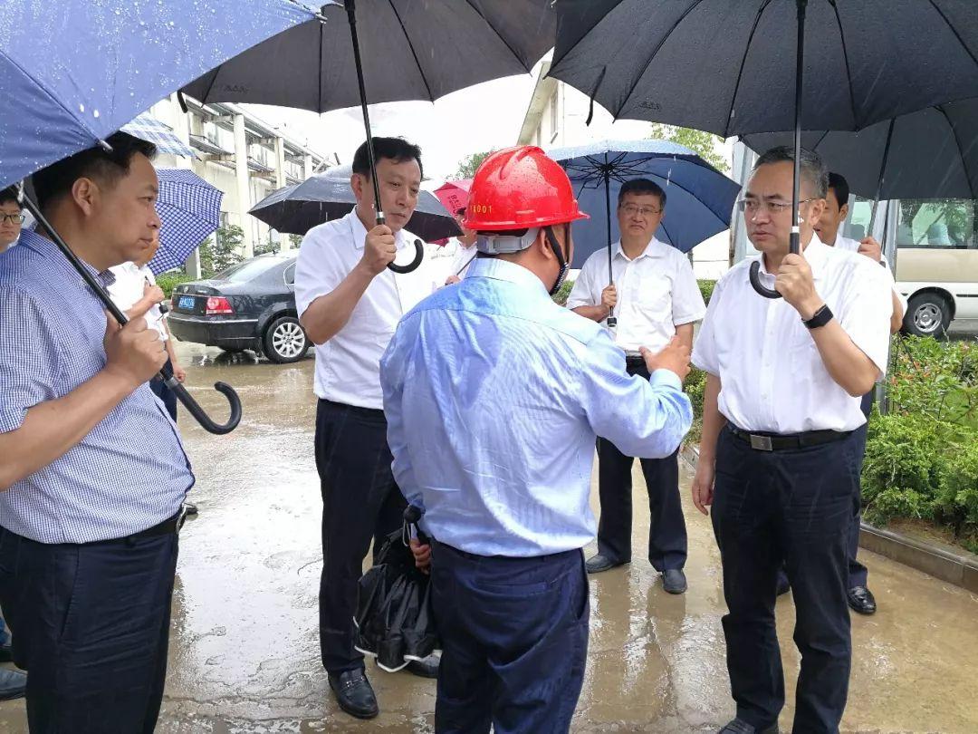 广东龙翔食品有限公司，探索卓越食品产业的领军企业