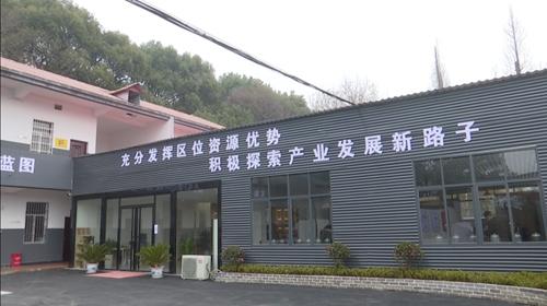 广东省九江酒厂有限公司，传统酿酒工艺的典范与现代发展的先锋