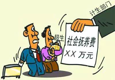 广东省社会抚养费标准详解