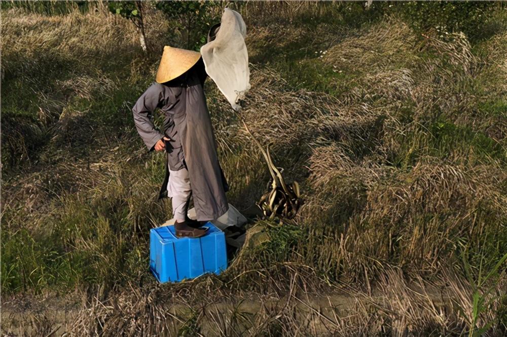 备孕两个月的生活，期待与焦虑并存