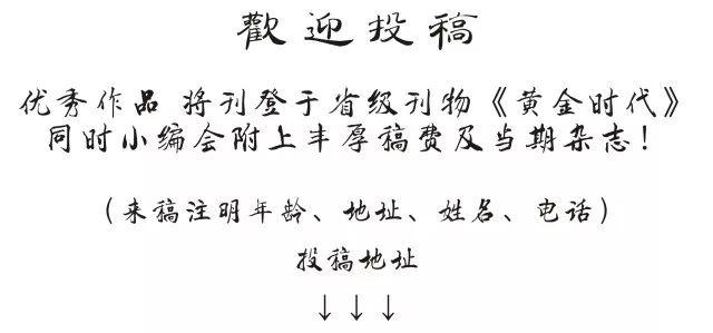 广东省综合信息填写指南