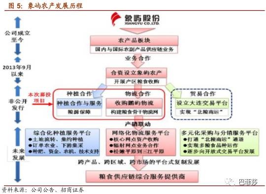 中储粮食广东有限公司，粮食储备与供应链管理的卓越典范