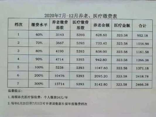 社保一个月最低交多少钱，深度解析与实际应用