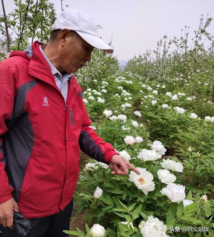 广东三三农业有限公司，引领现代农业，铸就卓越未来