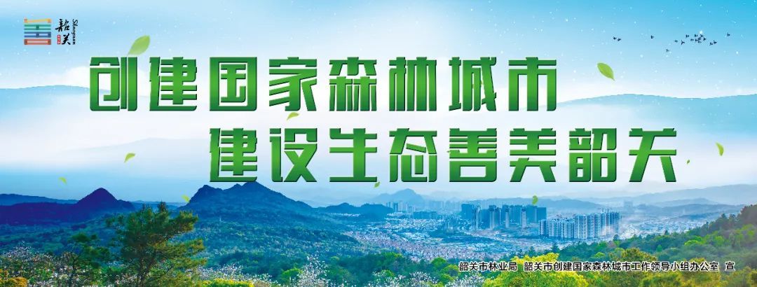 广东省严控废物，守护绿水青山的坚定行动