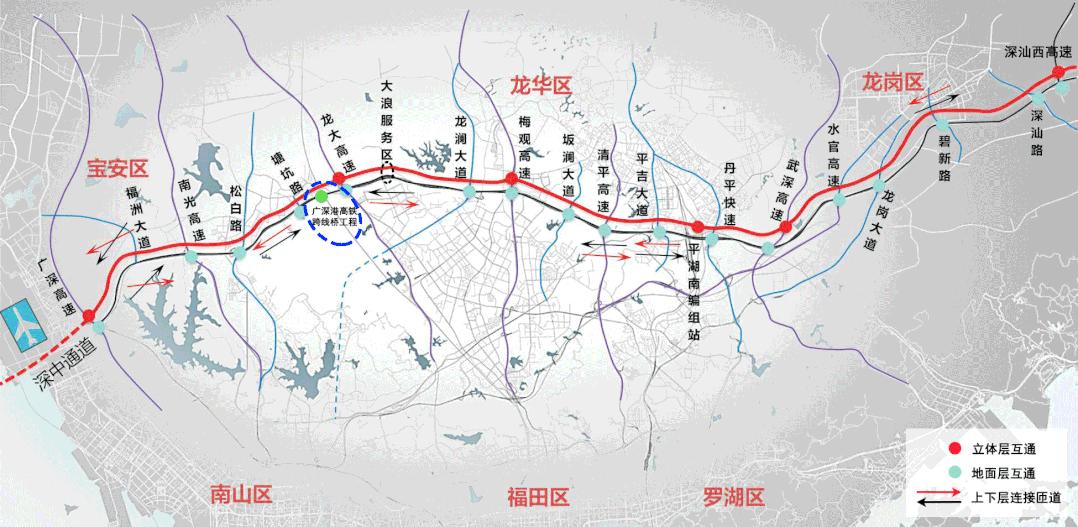 深圳大学在广东省的招生情况概览