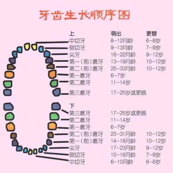 宝宝两个月长牙，早期发育的奇迹与家长的关注焦点