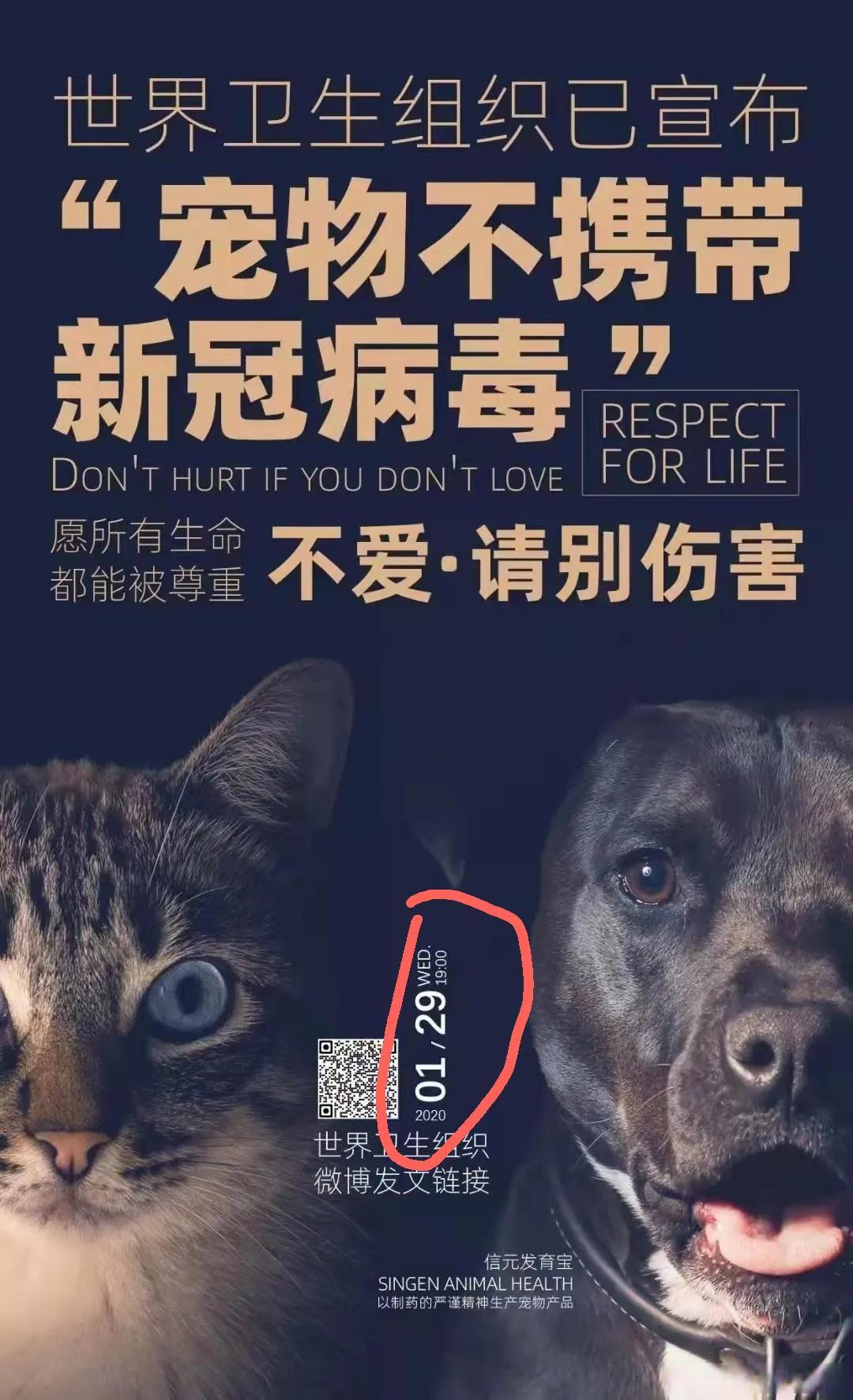 广东省的心肝病毒，挑战与应对策略