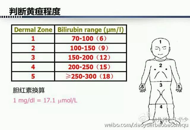 新生儿一个月黄疸正常值范围，了解、识别与关注