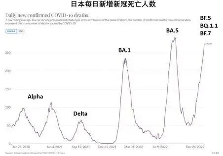 一个月没有晨勃，探索原因与应对策略