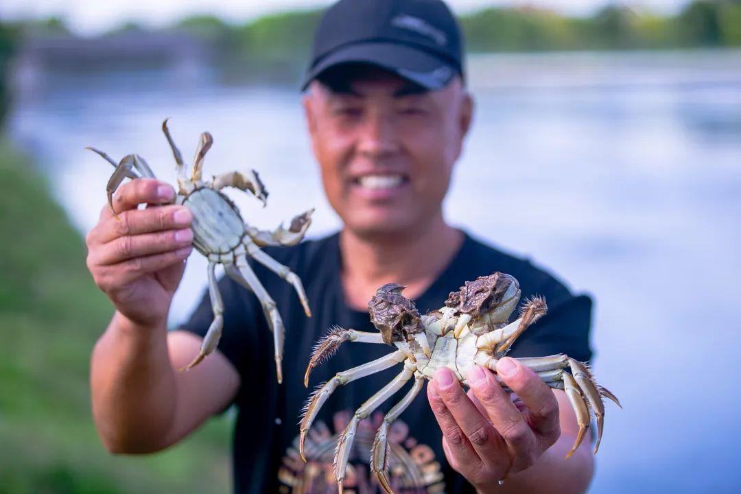 江苏顾得智能科技，引领智能化浪潮，塑造科技未来