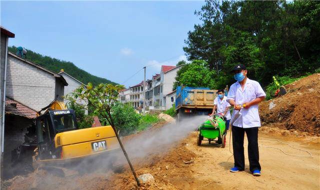 广东省德庆凤村疫情，挑战与应对