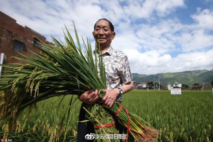 广东水之稻通信有限公司，探索卓越通信的领先力量