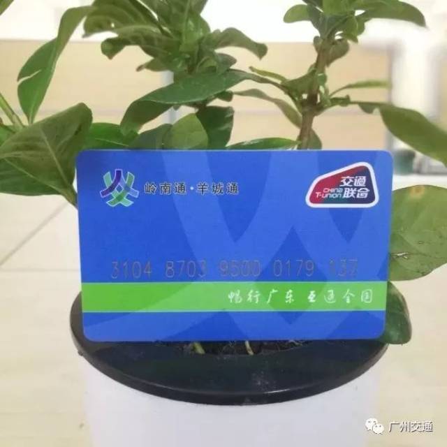 广东省一卡通，连接智慧生活的桥梁