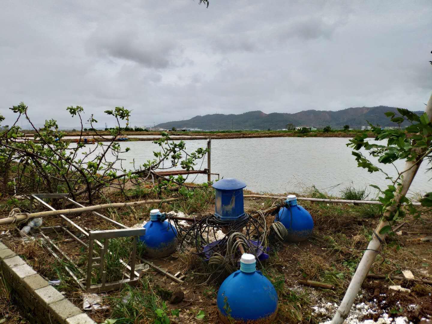 广东省珠海市金湾区，活力四溢的海洋新城